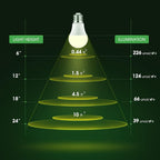 Grow Light Bulbs, Full Spectrum Grow Light Bulb, LED Grow Bulb | Grow Light Bulb A19, Plant Light Bulbs E26, 11W Grow Bulb 100W Equivalent,Grow Light for Indoor Plants, Seed Starting, 3 Pack