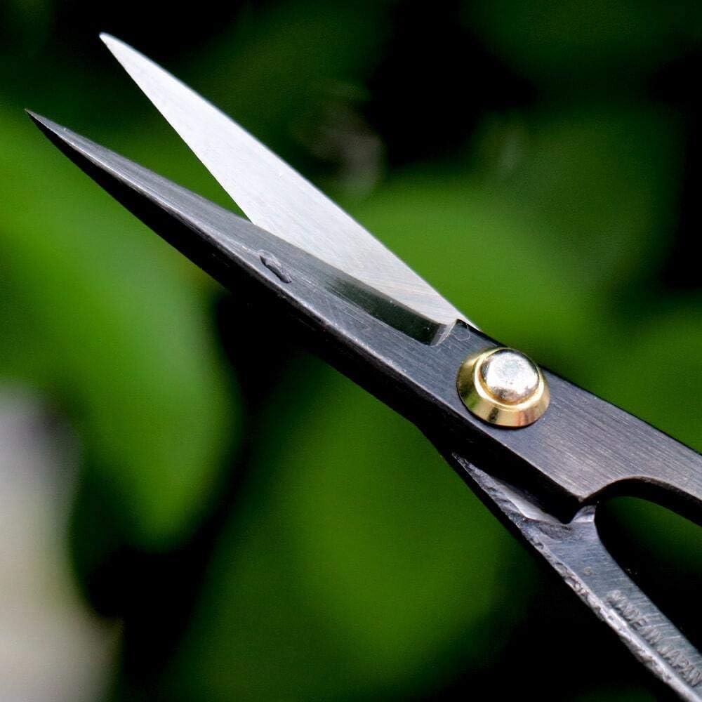 Wazakura Japanese Bonsai Tool Kit Made in Japan - Satsuki Scissors 7inch(180mm) + Concave Branch Cutter 8inch(200mm) Gift Box Set