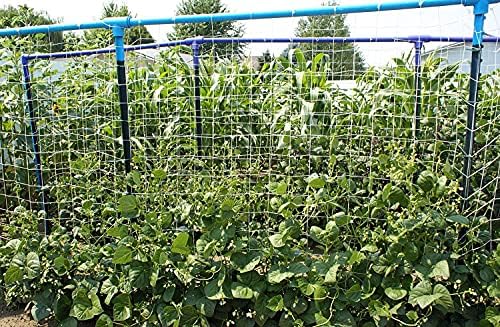 toolazy trellis netting 6.5 x 350 ft on a desk or shelf