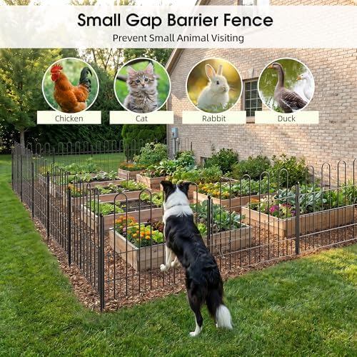 bepatio 5 panels arc metal tall garden fence showing dimensions