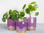 Gepege Ceramic Pots for Plants, Rainbow Pearl Glaze Planter with Drainage Hole, 6.0 inch+5.0 Inch+4.0 Inch. Indoor-Outdoor Large Round Succulent Orchid Flower Pots