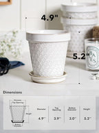 LE TAUCI Ceramic Plant Pots, 4.9 Inch Flower Pots with Drainage Hole & Saucer, Embossed Planter Pots for Indoor Plant Succulent, Orchid, Cactus, Home Decor - Set of 4, Arctic White