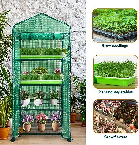 mini greenhouse,4 tier small portable greenhouses kit with, side view