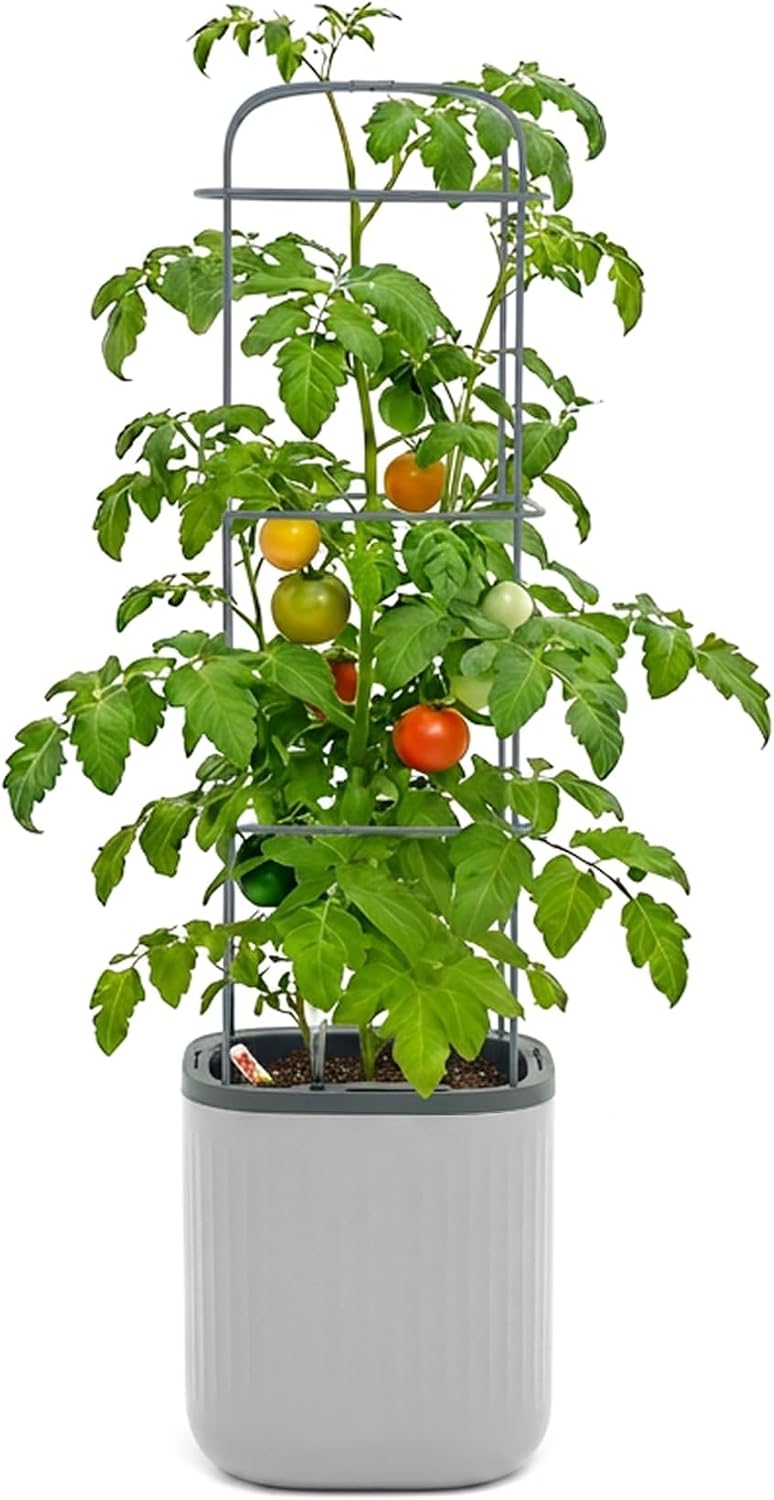 vego garden planters for outdoor & indoor plants, main product view