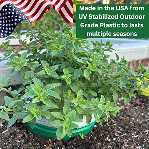 outdoor germination and grow kit with greenhouse domes on a desk or shelf