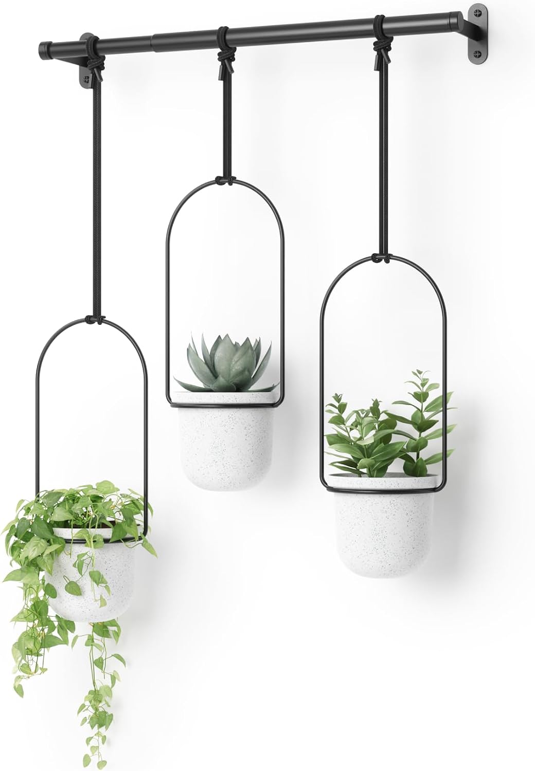 umbra triflora hanging planter, indoor herb garden, set, main product view