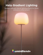 govee lantern floor lamp, halo gradient rgbic smart, close-up detail