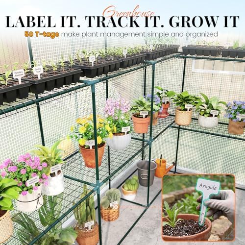 king bird premium greenhouse for outdoors, 84x56x77 upgraded on a desk or shelf