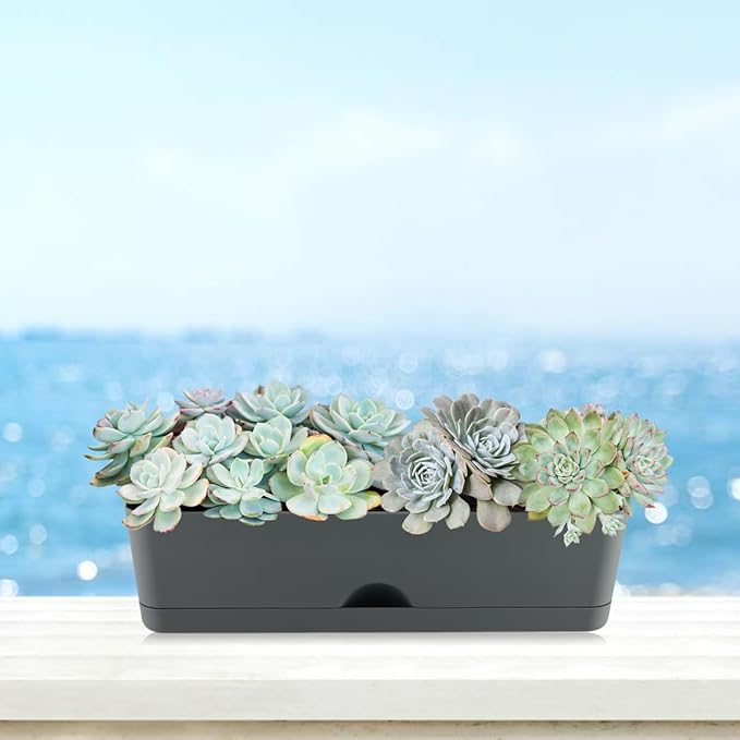 6 Pack Rectangle Planter 16x4.4 Inch Window Boxes Planters Rectangular Large Window Sill Planters Indoor Self Watering Plant Pots with Drainage Holes and Saucers Succulent Herb Flower Pots, Dark Grey