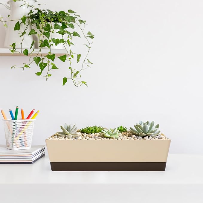 GREANER Indoor Windowsill Planter Boxes, 6 Pack 16 x3.8 Inch Rectangle Succulent Cactus Window Box with Tray, Modern Plastic Plant Pots for Porch, Patio, Garden Balcony, Home Office Outdoor Decoration
