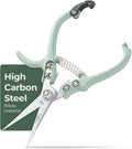 Modern Sprout Pruning Shears - Garden Snips - Herb Scissors - Sage 1-Pack | Lightweight Gardening Tool - Durable Carbon Steel Blade W/Easy-Lock - Gardening Supplies - Flower Cutter - Reusable Holster