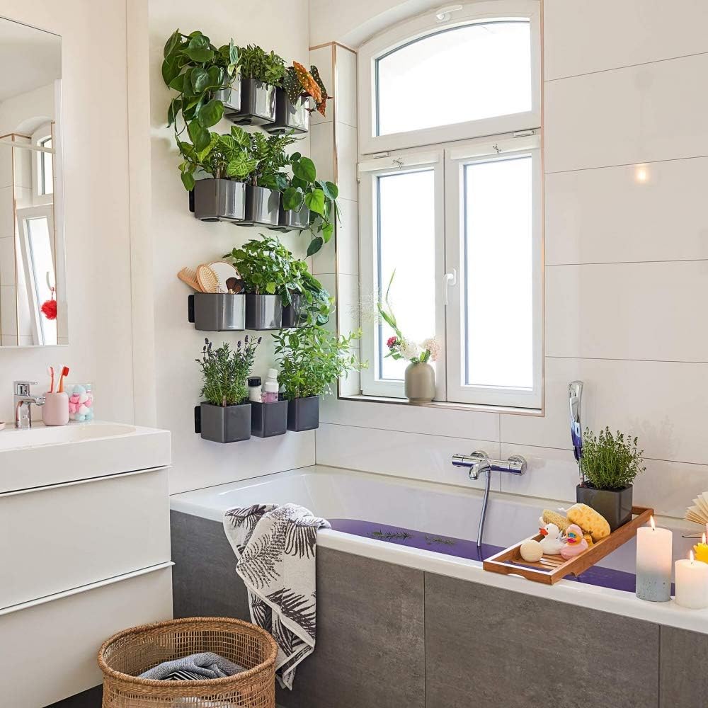 Lechuza Green Wall Home Kit Glossy Cream White High Gloss, 3 Self-Watering Hanging Planters on Metal Bar, H5.5 L18.9 W5.9 in