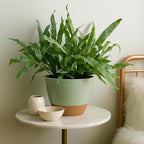 Plant Pots 12/10/9 inch Set of 3, Self Watering Flower Pots Indoor Outdoor, Planters with Drainage Hole Saucer Reservoir, Green