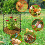 10 packs wire plant protector from animals, metal showing dimensions