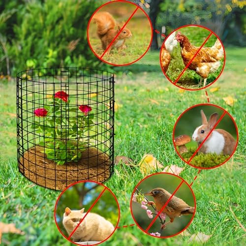 10 packs wire plant protector from animals, metal showing dimensions