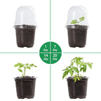 30 Packs 4 Inch Reinforced Clear Nursery Pots with Humidity Dome, Transparent Plastic Plant Pot Seedling Planter with Drainage Holes for Vegetable Propagation, Root Cutting, Seed Starting