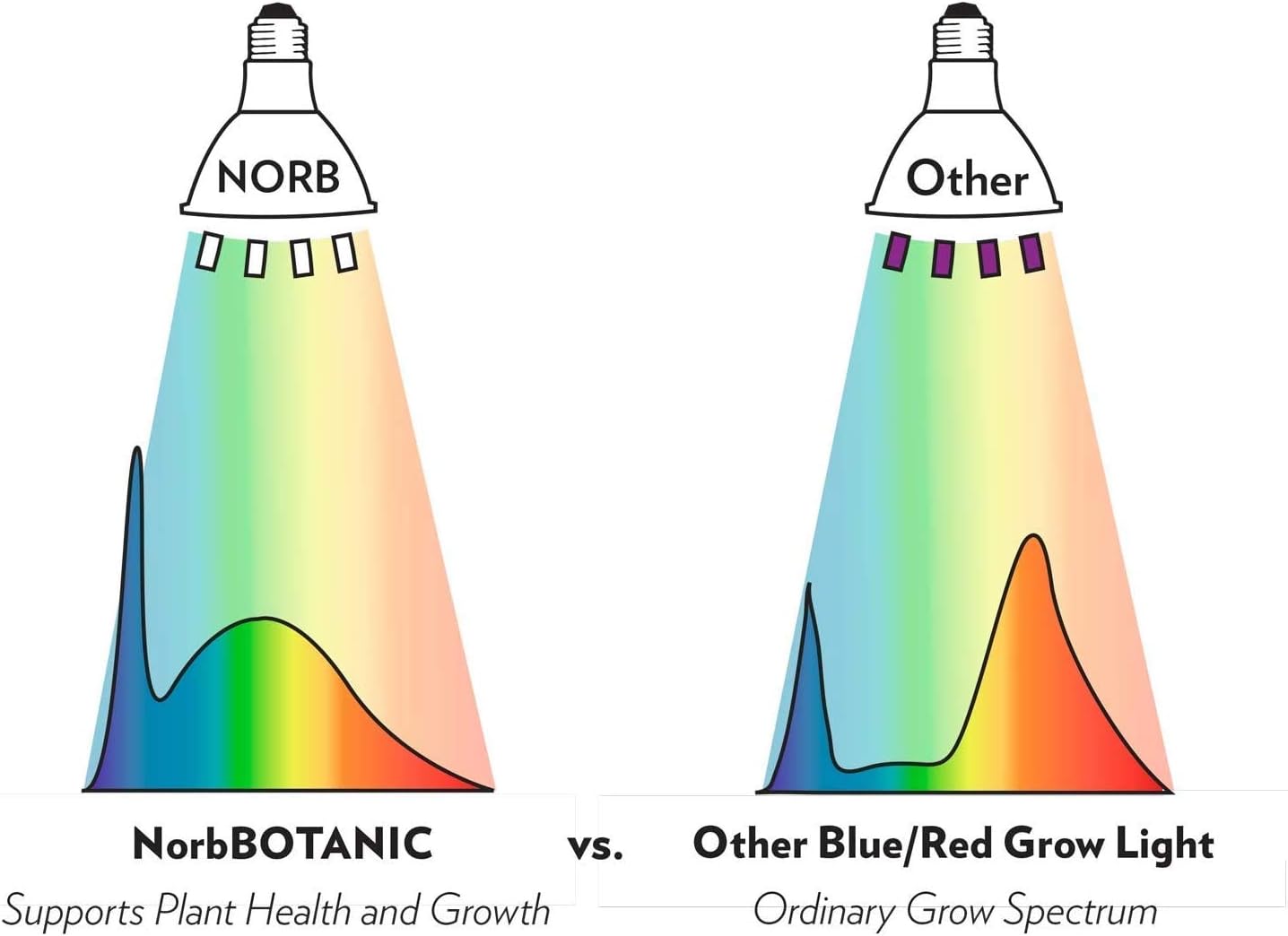 NorbBOTANIC Premium LED Grow Light, Full Spectrum PAR38 Bulb, 1350 Lumens, Energy-Efficient, Sun-Spectrum Mimics Sunlight, White Light, Perfect for Indoor Plants, Herbs, Tropical Plants, 16W 30 Degree