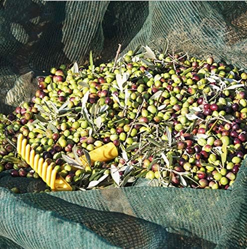 ez4garden fruits harvest collecting netting walnut olive chestnut on a desk or shelf