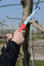 FELCO 611 Pruning Saw – Straight Pull-Stroke Saw for Tree Trimming & Forestry | Tree Branch Cutter | Handsaw with Tapered Hardened Steel 13" Blade, Non-Slip Handle, Carrying Sheath, Swiss Precision