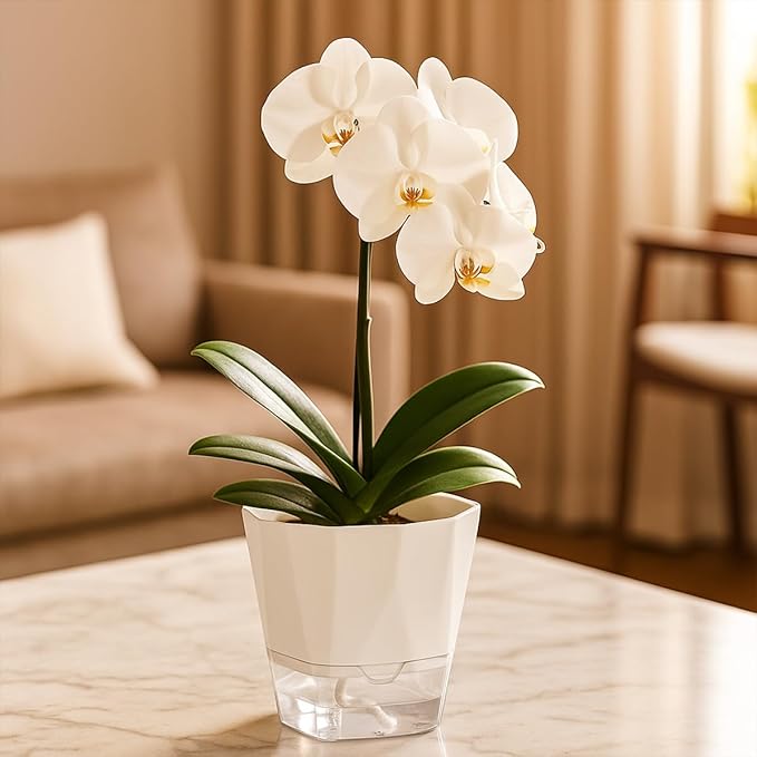 5 Pack Self Watering Plant Pots 6.7 Inches Self Watering Planters for Indoor and Outdoor Plants African Violet Self Watering Pots Clear Pots for Plants Herb Orchid Flower Houseplant Pots, White