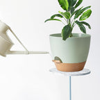 Indoor Pot For Plants 3 Pack 12/10/9 Inch Self Watering Pot For Lazy People,Self Watering Pots For Indoor Plants,Outdoor Pots For Succulent, African violets And Cactus Green Plastic Flower Pots