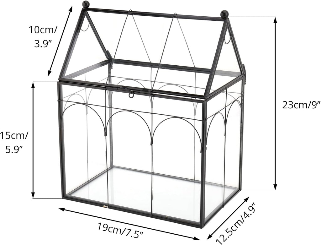 ncyp glass terrarium with lid for cacti, moss showing dimensions