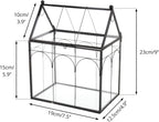 ncyp glass terrarium with lid for cacti, moss showing dimensions
