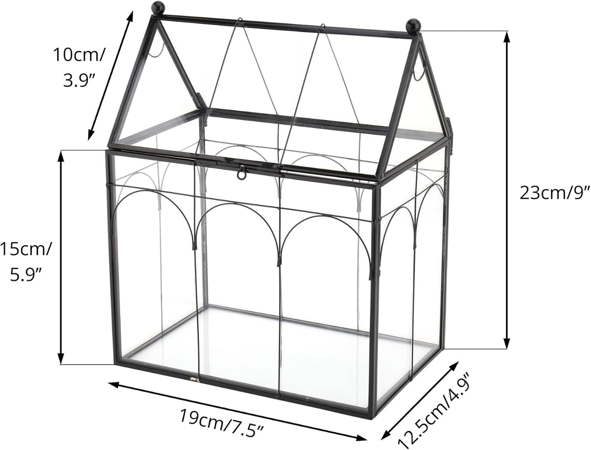 ncyp glass terrarium with lid for cacti, moss showing dimensions