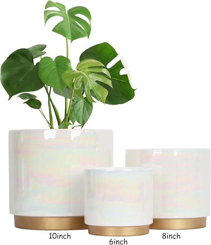 Gepege White Indoor Plant Pots for Plants, Large Ceramic Planter with Drainage Hole, 9.6-inch Succulent Orchid Flower Pot - Rainbow Pearl Glaze