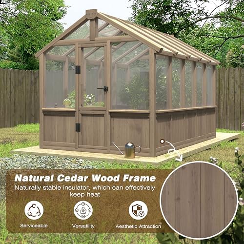 mupater 6'x10' wooden greenhouse for outdoor, heavy duty on a desk or shelf