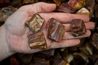 Fantasia Materials: 1 lb Petrified Wood Rough Stones from Madagascar
