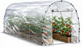 walk-in tunnel greenhouse for outdoors 19.7 x 7.9, main product view