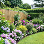 natural bamboo fence, 4 ft x 6 ft, view 9