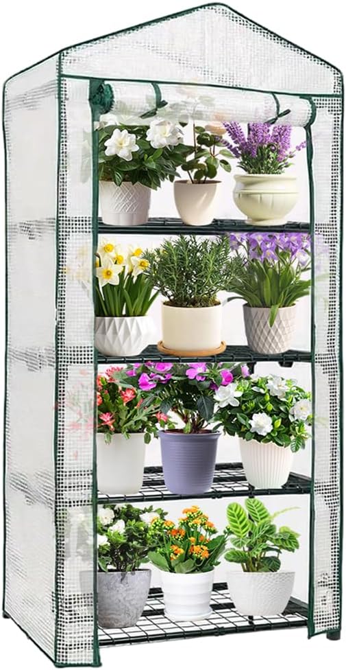 4-tier mini greenhouse, green house for flower indoor, main product view