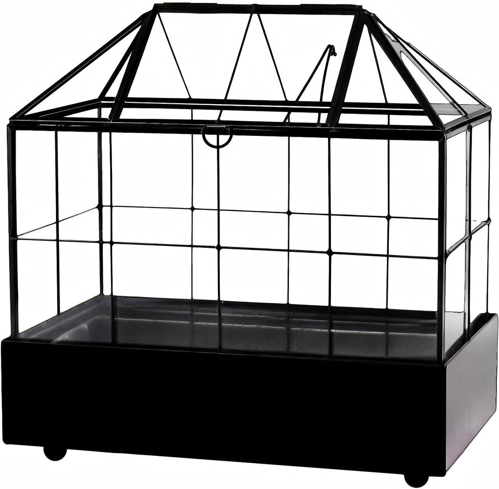 large tall plant terrarium glass – glass greenhouse, side view