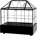 large tall plant terrarium glass – glass greenhouse, side view
