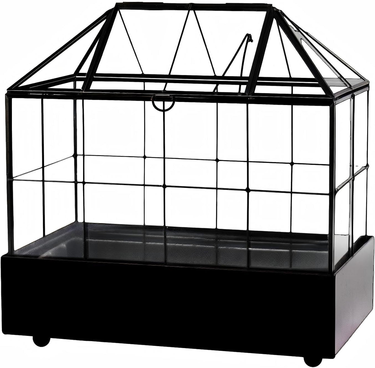 large tall plant terrarium glass – glass greenhouse, side view