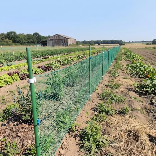 7x100ft deer fence garden netting 50gsm square mesh, front angle view