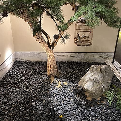 FANTIAN 10 lbs Pebbles for Landscaping, 1-2 Inch Black Rocks for Plants | Polished River Rocks Stone for Plant Indoor, Vase, Aquarium, Garden, Fountain, Outdoor, Planter Filler for Artificial Plants