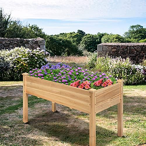 s afstar raised garden bed with greenhouse cover, front angle view