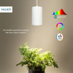 Hanging Grow Light 40W Large, Full Spectrum Warm White Color Plant Lamp, 120V Plug-in with Timer, 15FT Fabric Power Cord, Decorative Pendant Plant Light