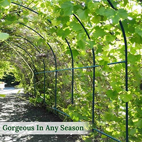 multi-size large garden support arch frame climbing plant, side view