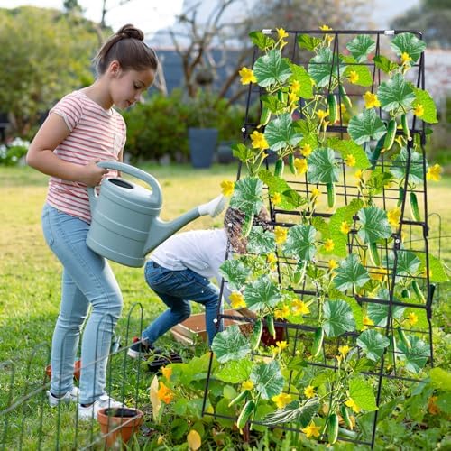 2packs 17 x 42 inch garden trellis for on a desk or shelf