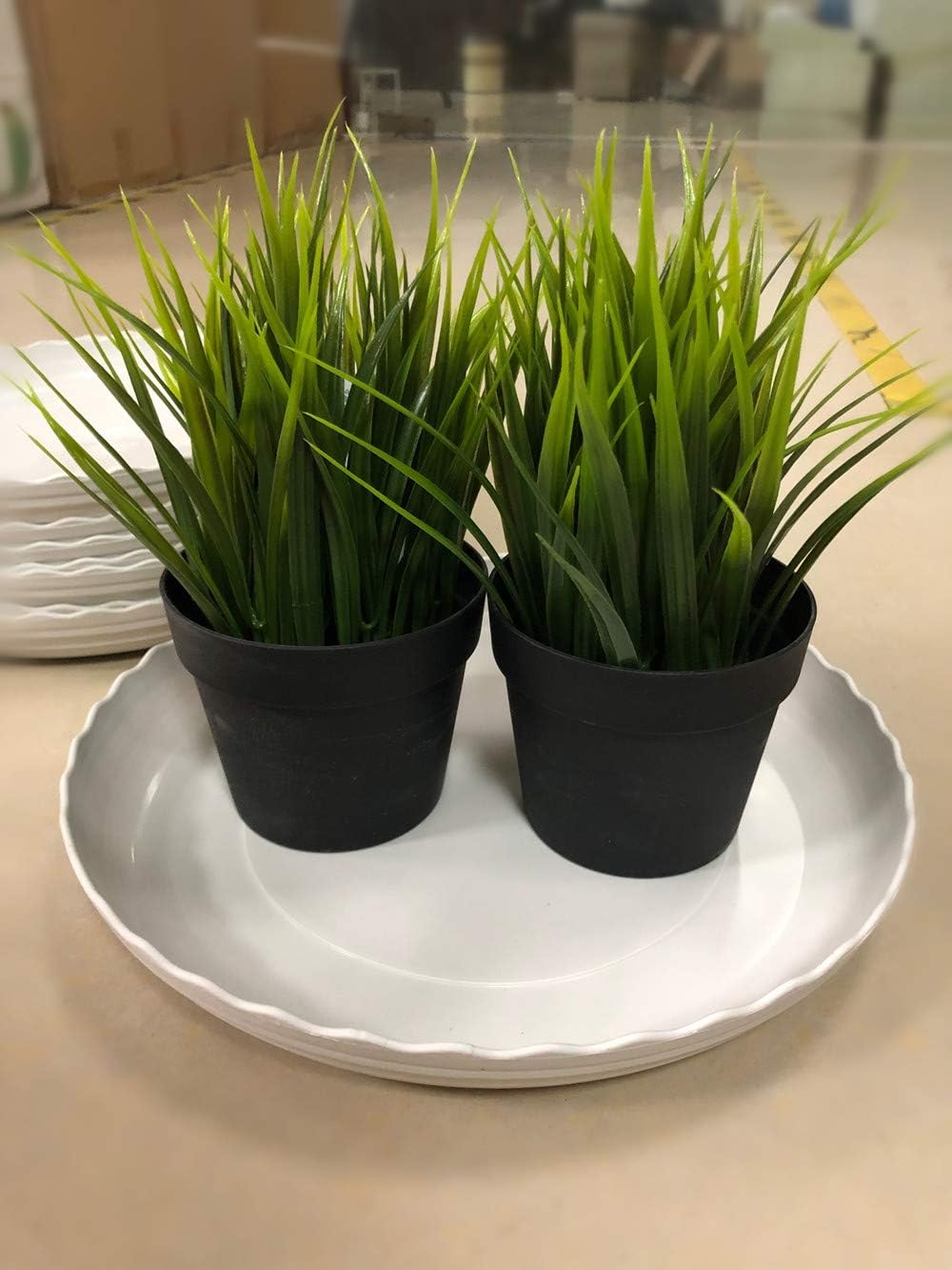 12 Inch Light Grey Plant Saucers 5 Pack,Saucers for Potted Plants,Flower Pot Drip Trays for Indoor & Outdoor Ceramic or Plastic Flower Pot Drip Trays for Large to Small Pots