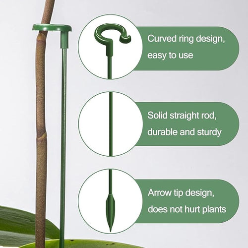 30 Pcs Plant Support Stakes with 30 Pcs Plant Clips Garden Floral Flower Support Single Stem Support Stake for Phalaenopsis Orchid Flower Roses Amaryllis