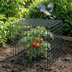 hacaroa 12 pack wire plant protectors from animals, front angle view