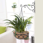 hehimhis 2PCS 20inch Coco Liner Hanging Basket Replcement, 100% Natural Round Coconut Coco Fiber Planter Basket Liners for Hanging Basket Bird Nest