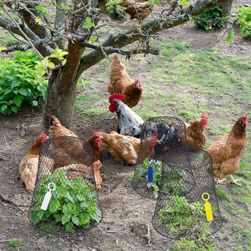 geosar 20 pcs 9 inch chicken wire cloche, main product view