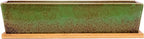 Succulent Pots - Large Succulent Planter Pots with Drainage, 12 Inch Long Rectangle Bonsai Pot with Bamboo Tray Shallow Ceramic Cactus Flower Planter Window Box for Home Garden Decor (Green)