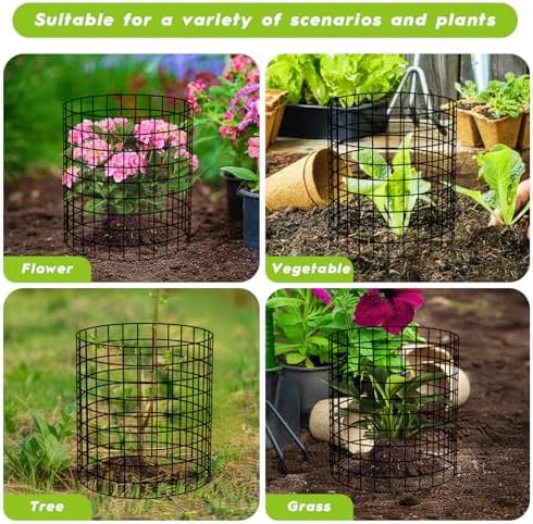 plant protectors from animals wire plant protector cage on a desk or shelf